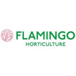 Flamingo Horticulture Ltd