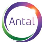 Antal International 