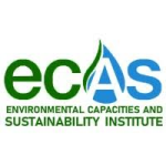 ECAS Institute