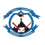 Excel Academy Limited